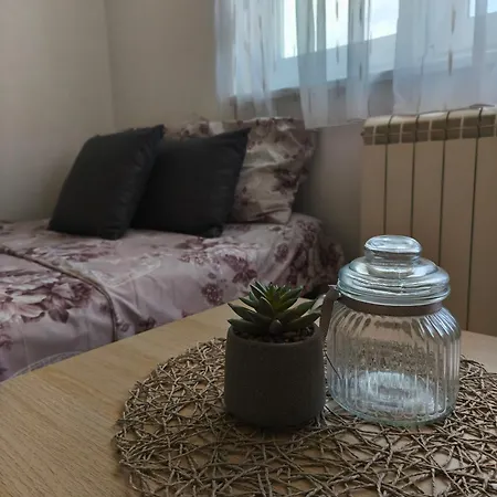 Mv *